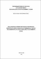 DISS_HelaineBorba_PPGDIR.pdf.jpg
