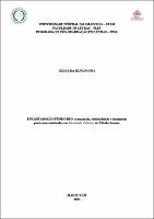 DISS_SilviaNunes_PPGL.pdf.jpg