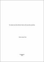 DISS_AlcinoAlves_PPGL.pdf.jpg