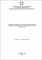 Dissertação- Patrícia Cavalcante Souza.pdf.jpg