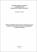 DISS_TatianePires_PPGDIR.pdf.jpg