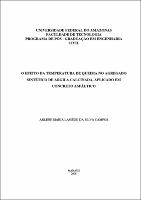 Dissertação-Arlene M L da S Campos.pdf.jpg