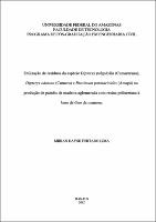 Dissertação - Mirian Dayse Furtado Lima.pdf.jpg