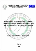 Dissertação - Maria do Socorro V. Yurtserver.pdf.jpg