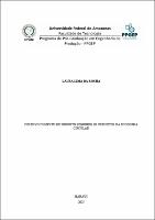 DISS_LauraRocha_PPGEP.pdf.jpg