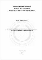 TESE_FelipePadilha_PPGATR.pdf.jpg