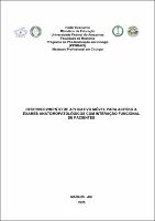 DISS_EmilyFranco_PPGRACI.pdf.jpg