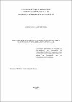 Dissertação - Astrid Siachoque Velandia.pdf.jpg