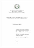 DISS_JorgePenedo_PPGEE.pdf.jpg