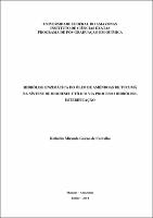 Dissertação - Kethellin Miranda Galeno de Carvalho.pdf.jpg