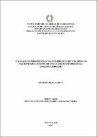 Dissertação - Emerson Dias da Silva.pdf.jpg