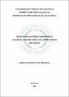 Dissertação - Adriana Spirotto Stein Mesquita.pdf.jpg