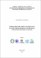 THESIS_YanMatheusPinto_PPGFIS.jpg
