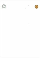 DISS_PriscilaSouza_PPGCASA.pdf.jpg