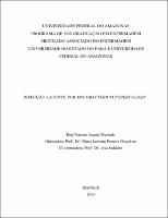 Dissertação - Kim Vinícius Amaral Machado.pdf.jpg