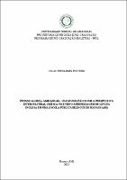 DISS_LucasPinheiro_PPGL.pdf.jpg