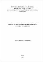 Dissertação - Sérgio Vieira do Nascimento.pdf.jpg